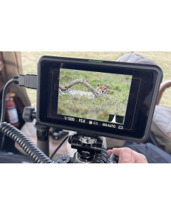 External Monitor