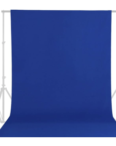 Blue Screen