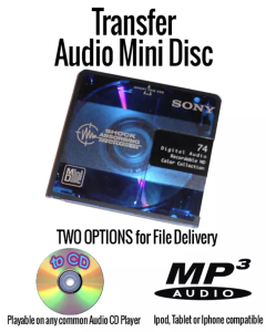 Blank Audio Recordable Mini Disc